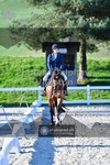 ref. photo 3551456