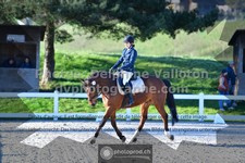 ref. photo 3551457