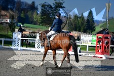 ref. photo 3551461