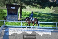 ref. photo 3551463