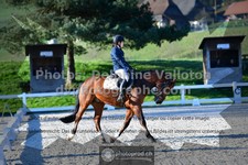 ref. photo 3551466