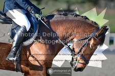 ref. photo 3551468