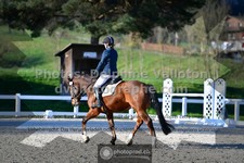 ref. photo 3551472
