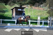 ref. photo 3551473