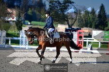 ref. photo 3551477