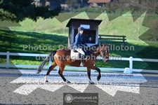 ref. photo 3551479
