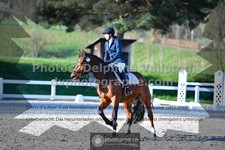 ref. photo 3551481