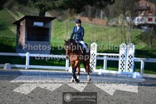 ref. photo 3551482