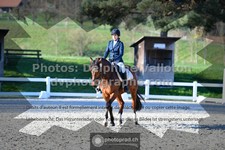 ref. photo 3551483
