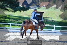 ref. photo 3551491