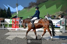 ref. photo 3551497