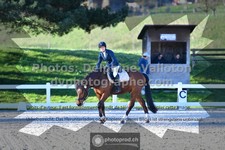 ref. photo 3551500