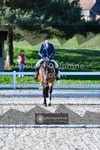 ref. photo 3551502