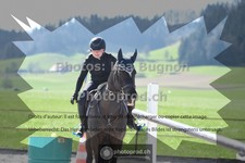 ref. photo 3551507