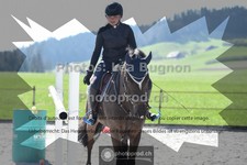 ref. photo 3551508