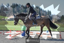 ref. photo 3551511