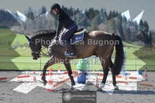 ref. photo 3551512