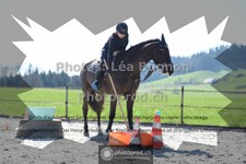 ref. photo 3551515