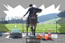 ref. photo 3551517