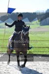 ref. photo 3551519