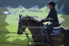 ref. photo 3551523