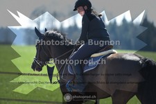 ref. photo 3551524