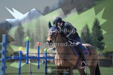 ref. photo 3551527