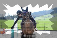 ref. photo 3551529