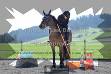 ref. photo 3551534