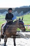 ref. photo 3551538