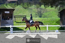 ref. photo 3551543