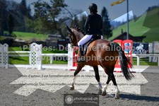 ref. photo 3551546