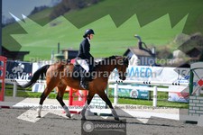 ref. photo 3551552