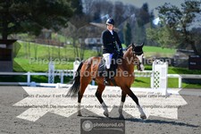 ref. photo 3551554