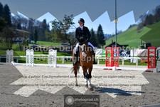 ref. photo 3551555
