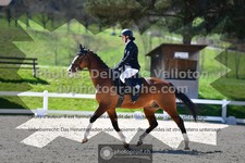 ref. photo 3551561