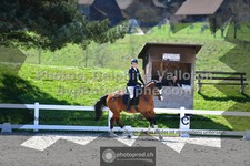 ref. photo 3551562