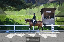 ref. photo 3551568