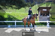 ref. photo 3551570