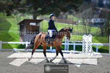 ref. photo 3551571
