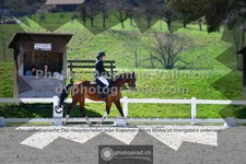 ref. photo 3551574