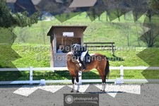 ref. photo 3551583