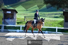ref. photo 3551587