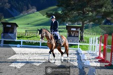 ref. photo 3551588