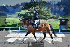ref. photo 3551589