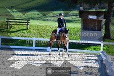 ref. photo 3551591