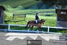 ref. photo 3551593