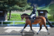 ref. photo 3551598