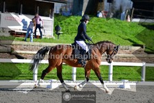 ref. photo 3551604