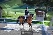 ref. photo 3551612